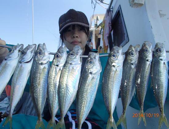 日 アジ五目コース 秋の主役の秋アジ三昧 釣り船なら愛知県師崎港の釣船七福丸