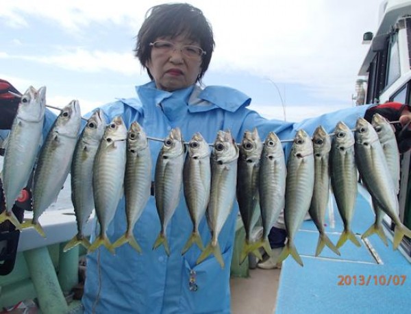 月）【アジ五目コース】 大爆釣 良型アジ+サバ 満タン大漁だ | 釣り船 