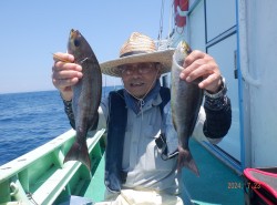 【大山沖イサキ＆アジコース】オールBigイサキ釣りファイティング満載釣行サムネイル
